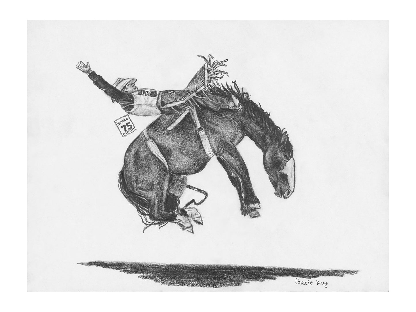 Wild Ride